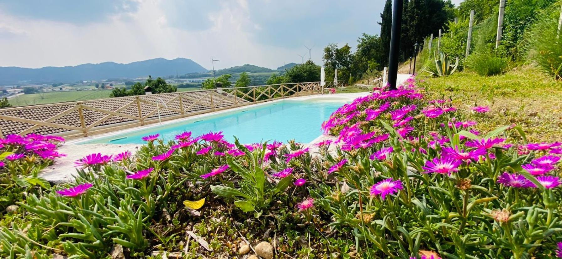 Villa Poggio Ulivo Pool-Apartments Rivoli Veronese 外观 照片